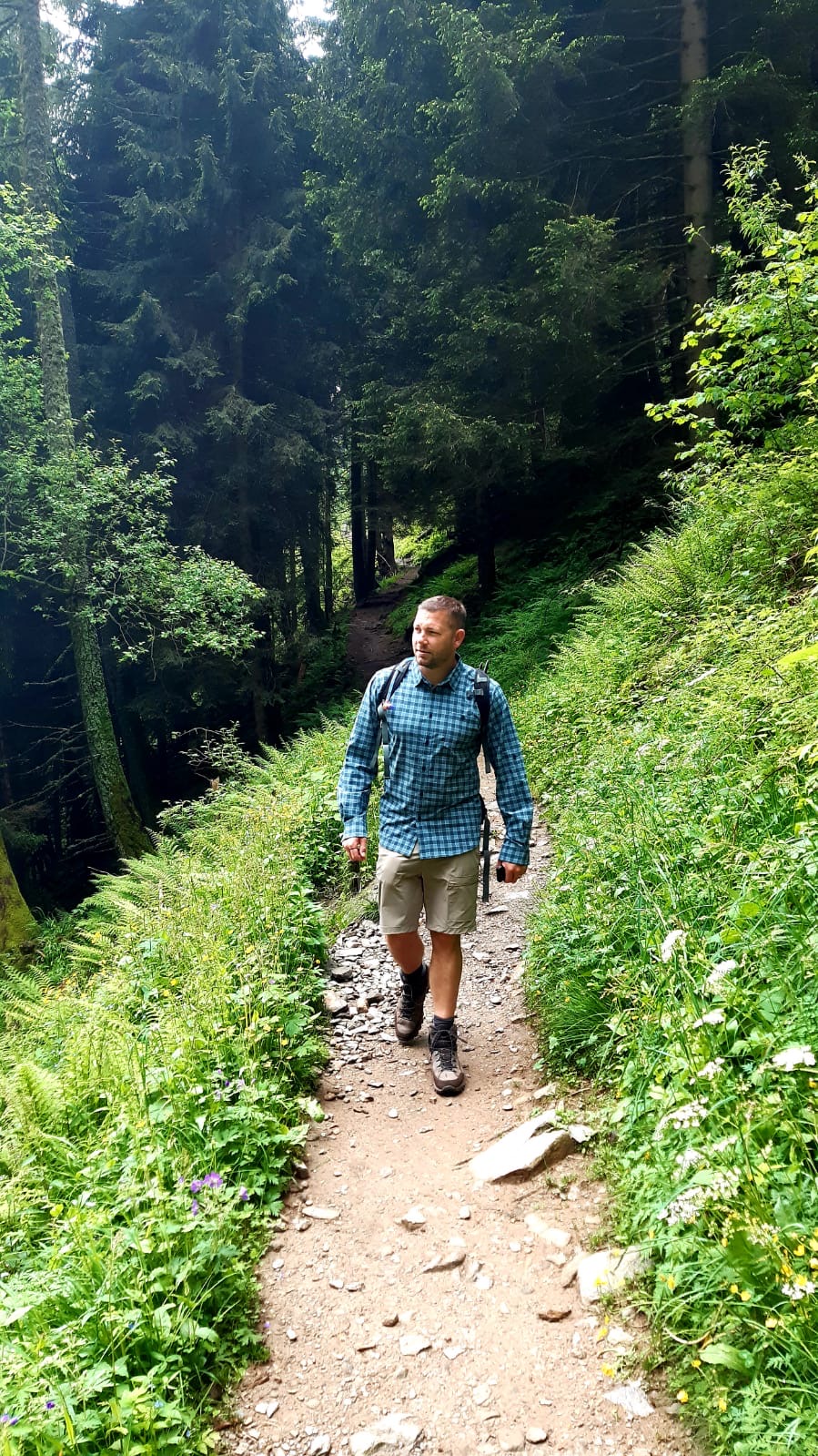 Ab ins Grüne