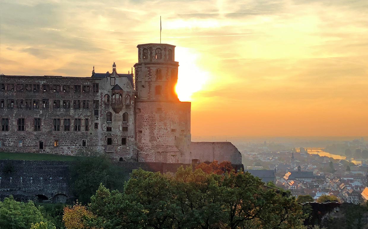 Schloss- und Stadtführungen