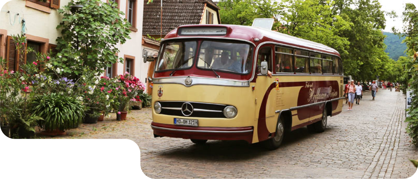 Bus Tour